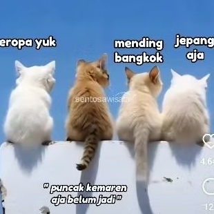 Pet Care