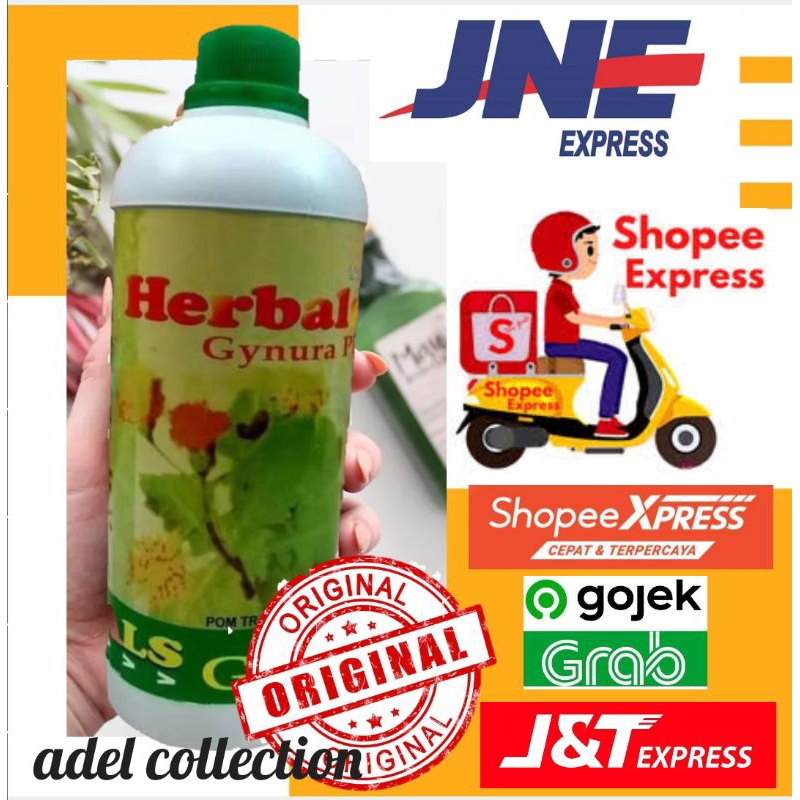 Herbal Gynura Plus