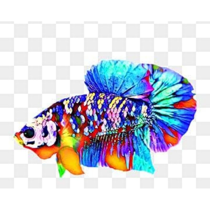 hiasan aquarium