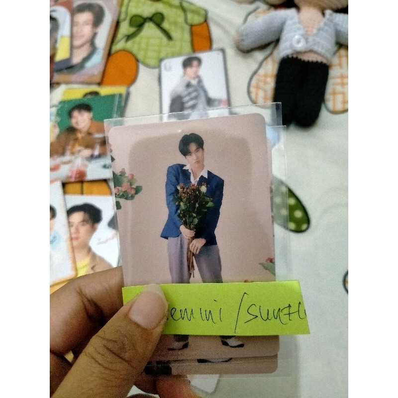 co nong sunflower