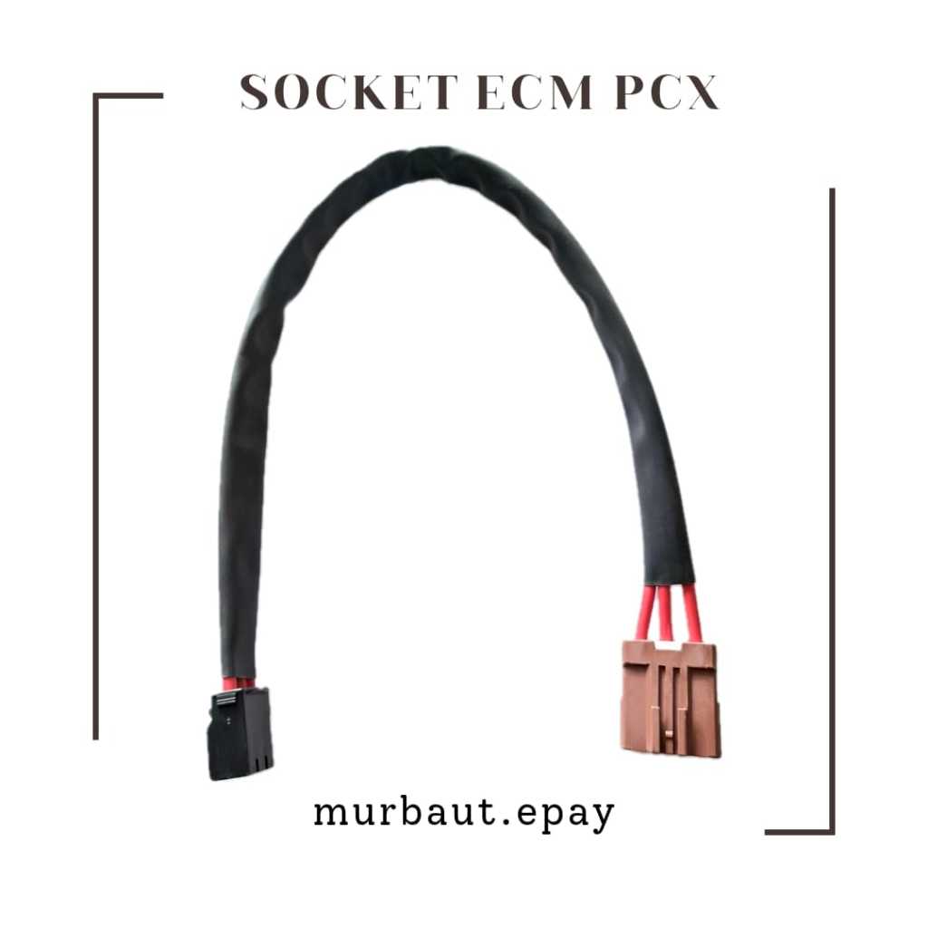 SOCKET ECM PCX /SOCKET ECU PCX - 1 PCS