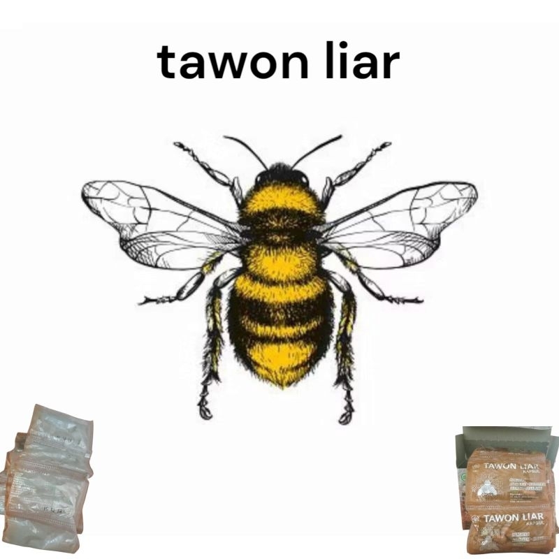 Tawon terbaik TL CAPSUL