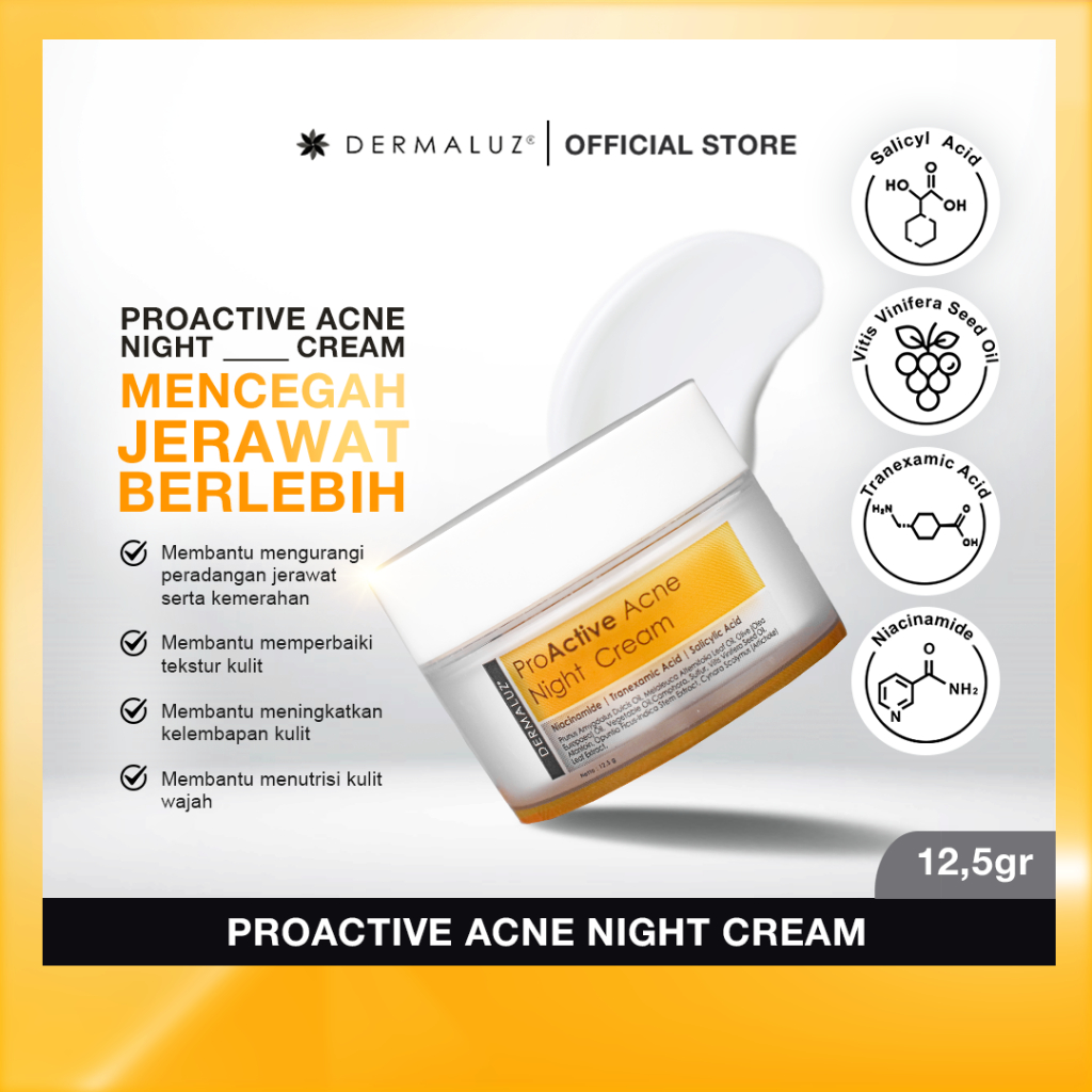 DERMALUZ Proactive Acne Night Cream