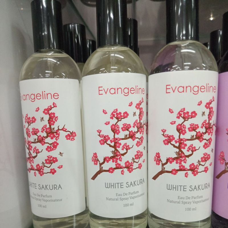evangeline sakura 100gr