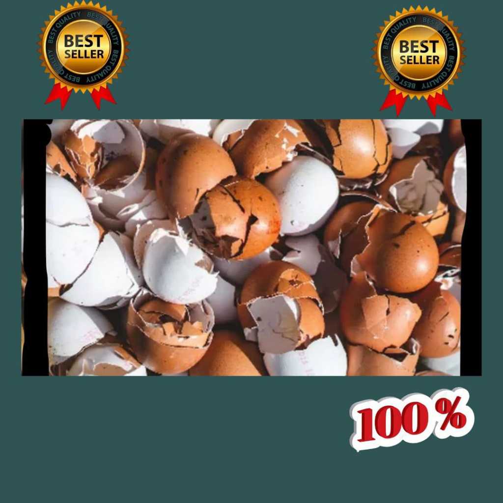 JAMIN ASLI..! Cangkang Telur Bubuk