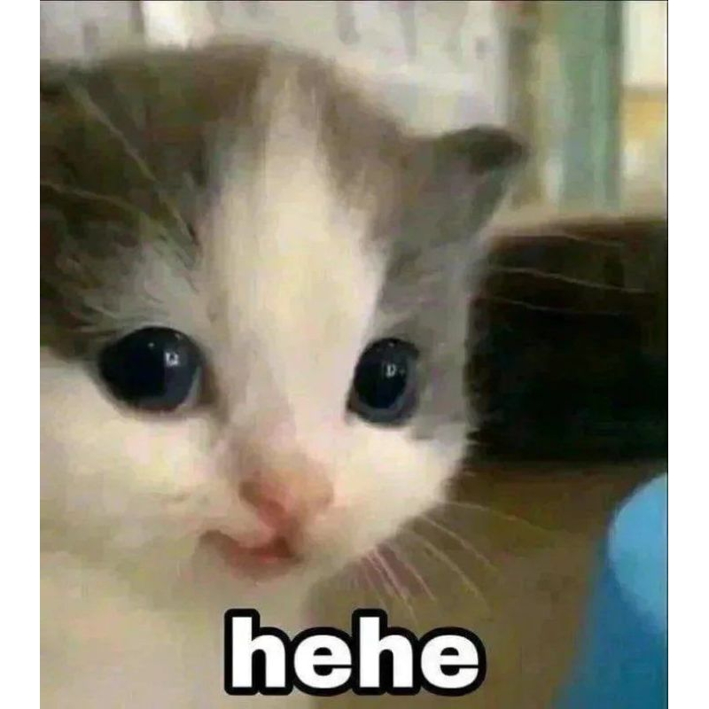 REQUEST CO BY SHOPEE
