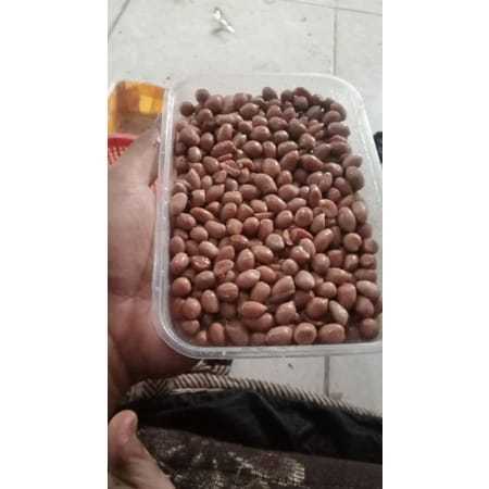 Kacang Presto