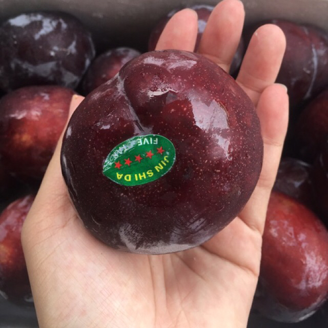 Plum Rrc 4kg