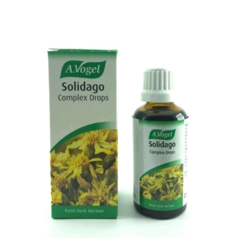 avogel solidago
