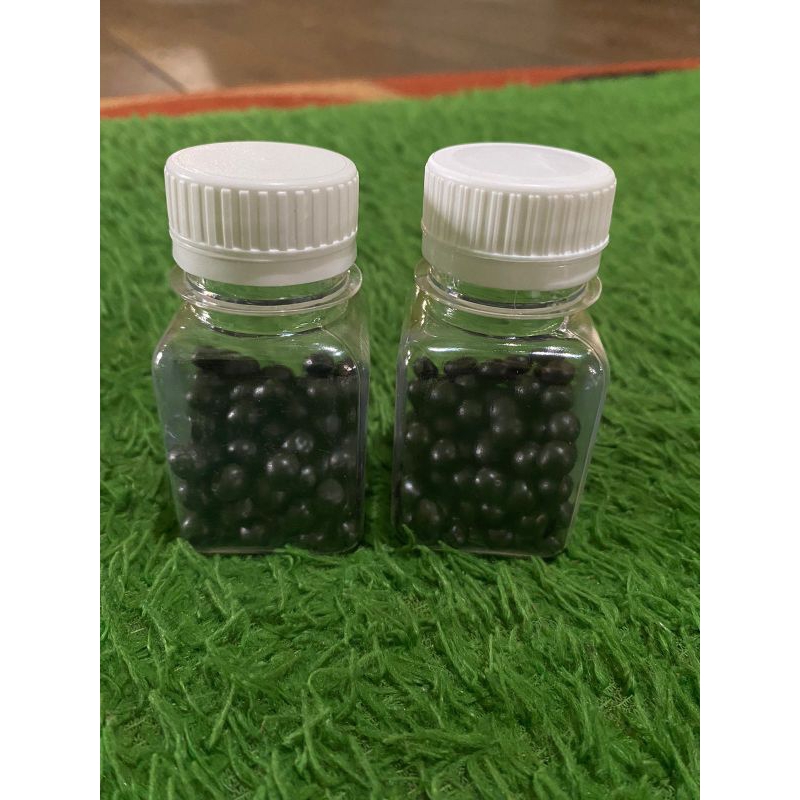 jamu pinang muda