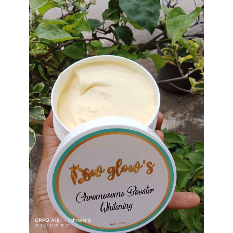 Hb Cromosome Booster Whitening