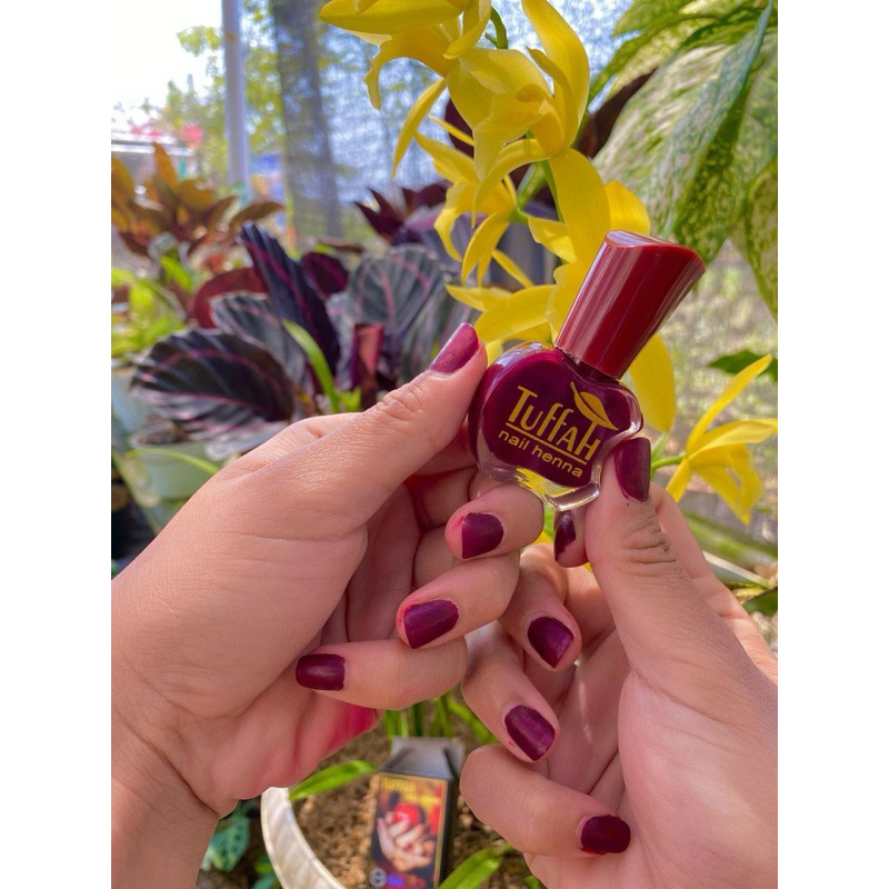 Heena Tuffah Maroon