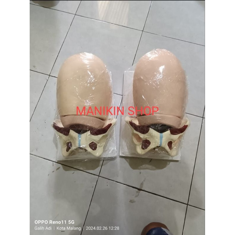 PHANTOM MANIKIN MODEL KBE& KBI