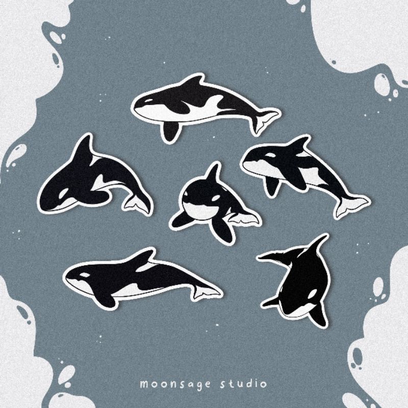 *NEW*MOONSAGE STUDIO Orca / killer whale sticker pack