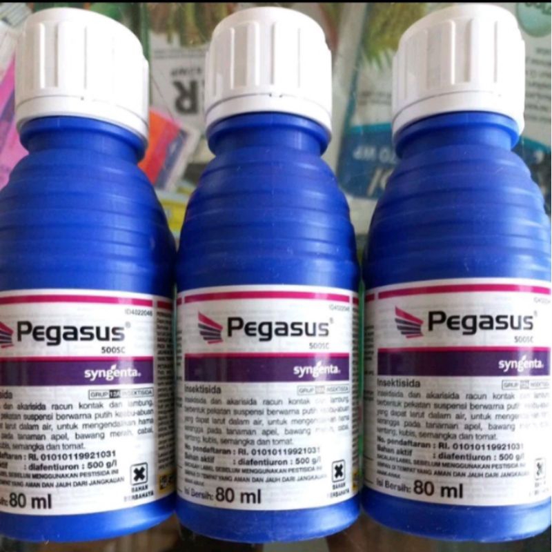 Pegasus 80ml