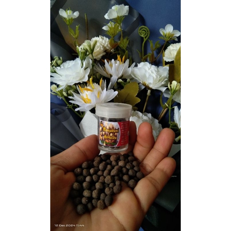 MANJAKANI HERBALKU SATU BOTOL