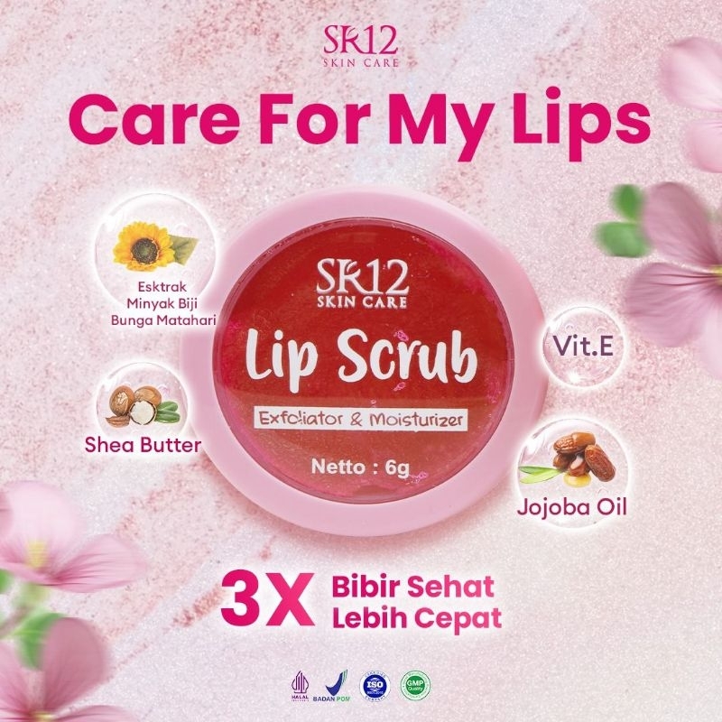 lip scrub sr12
