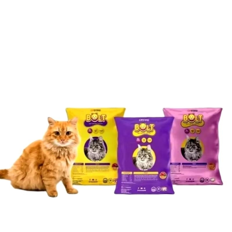 bolt cat food 800gr
