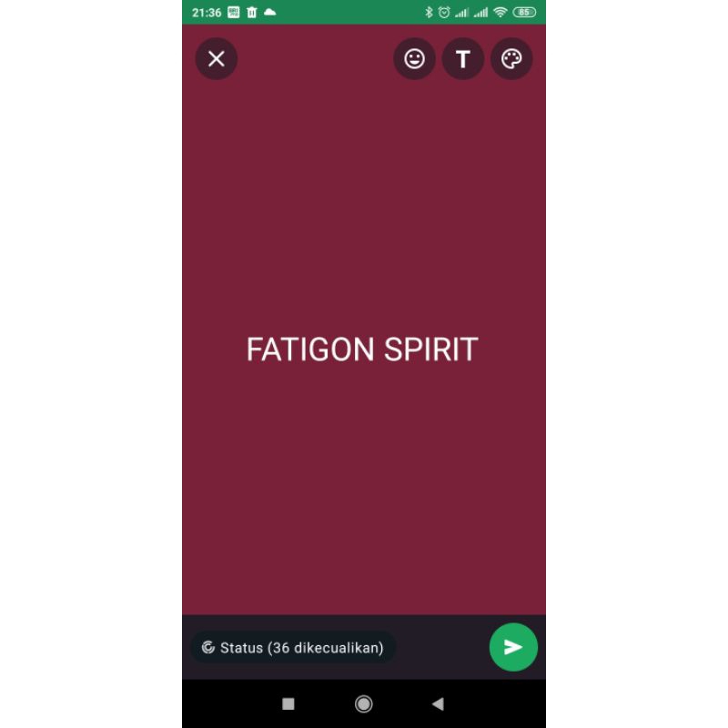 Fatigon spirit per box