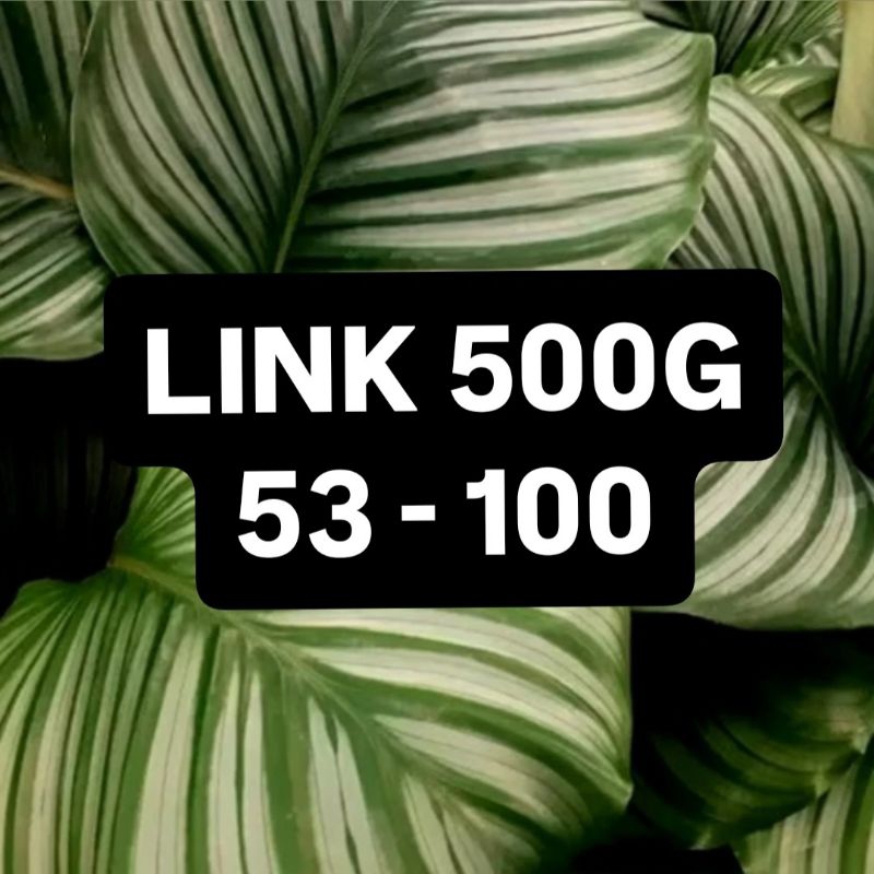 LINK 500GR || 53k - 100k