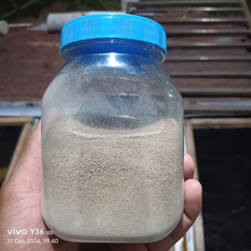 makanan ikan Guppy