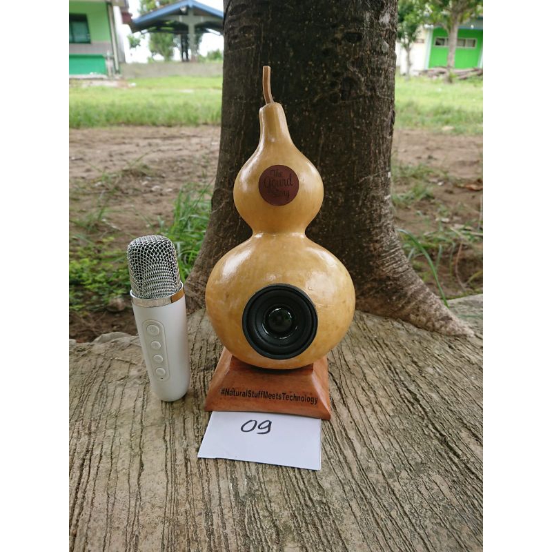 TGS 09 Speaker Bluetooth Karaoke