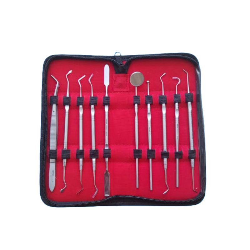 10 in 1 Pouch Instrument KIT SET STEINLESS