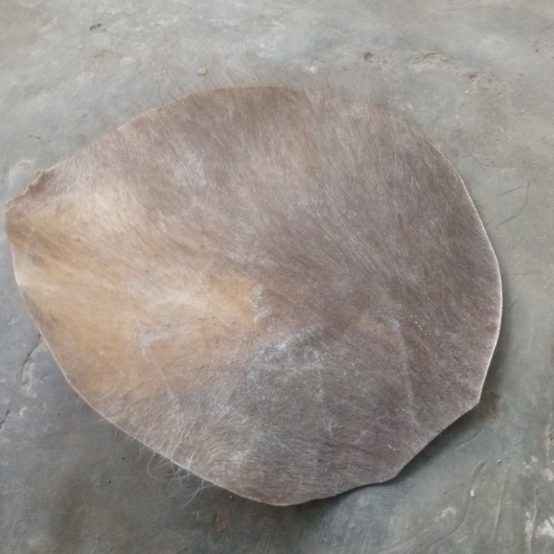 kulit kerbau 20 cm