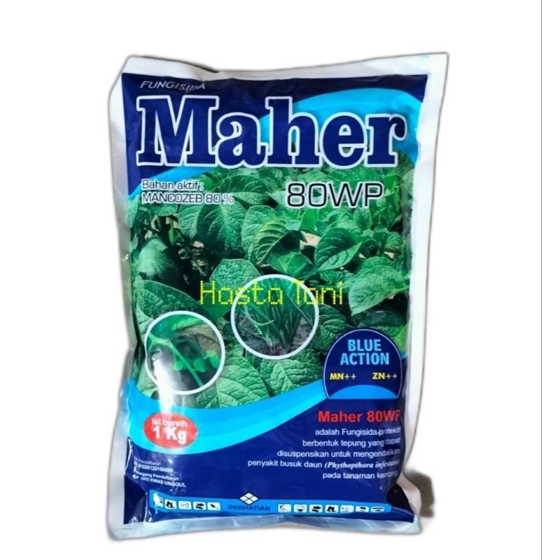 Fungisida MAHER BLUE 80WP 1Kg