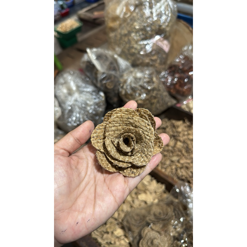 bunga hias goni cantik
