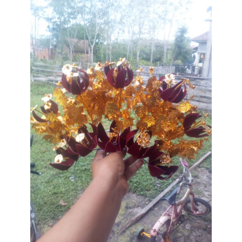 beringin penari