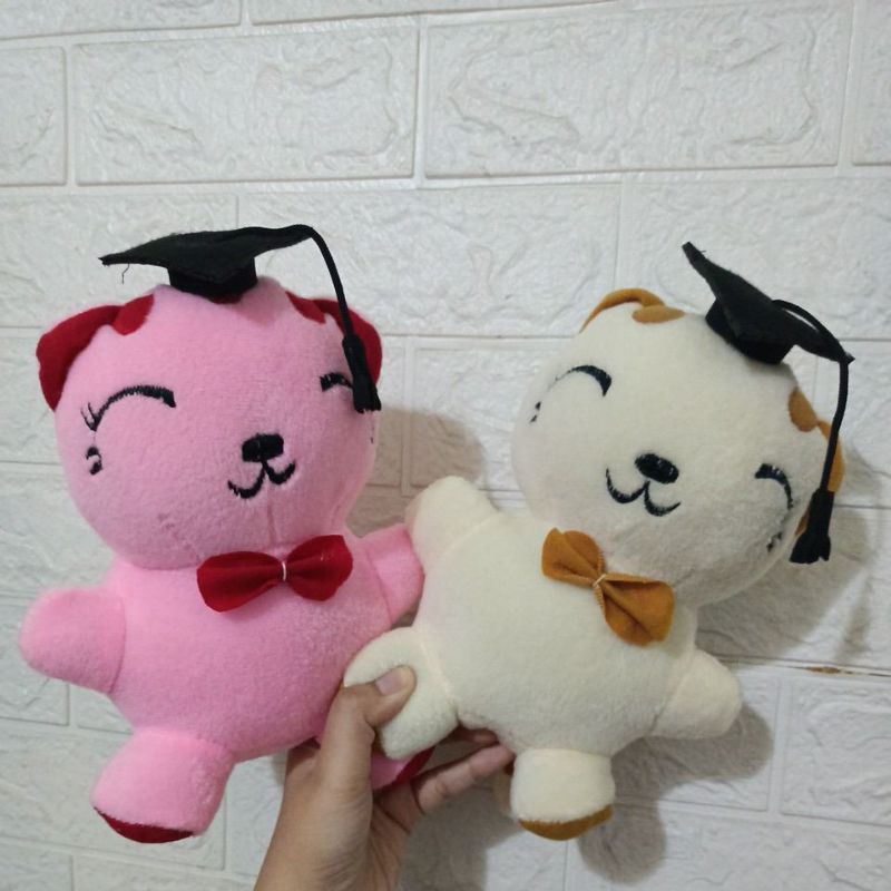 Boneka Wisuda Kucing 22cm Bahan Halus