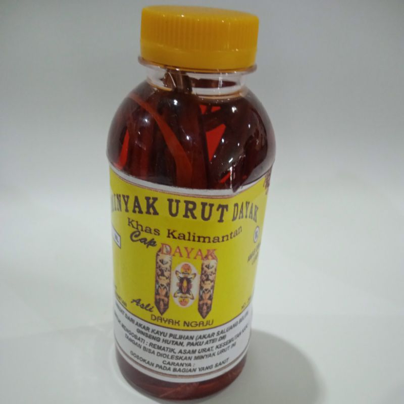 minyak urut dayak