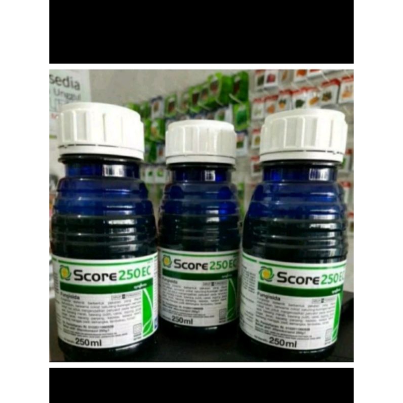 Score 250ml