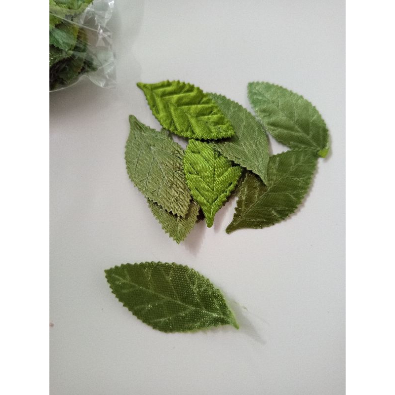 Aplikasi Daun