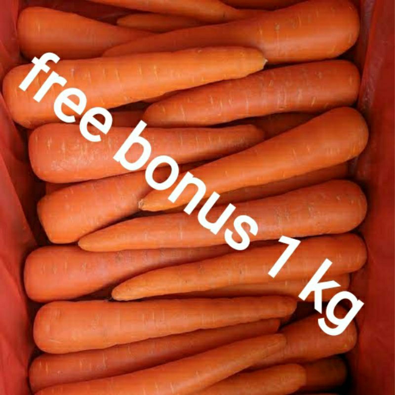 wortel import 500gr + gratis bonus