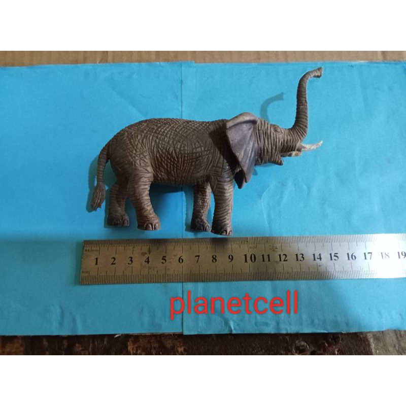 mainan anak binatang