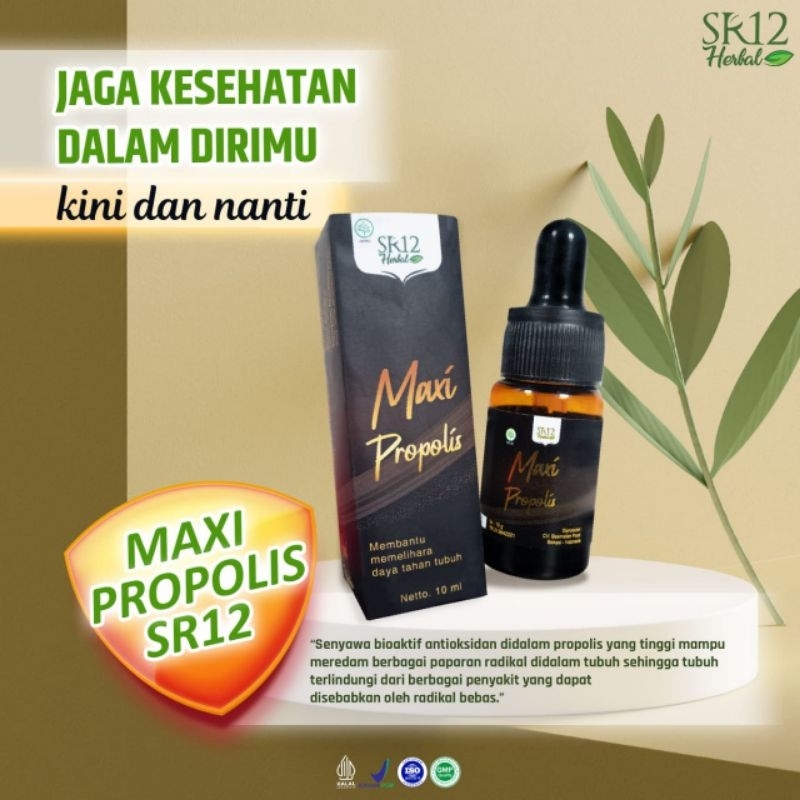 MAXI PROPOLIS 10ML SR12
