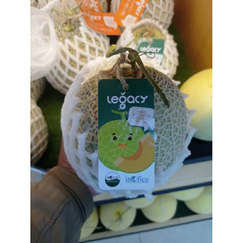melon akira legac