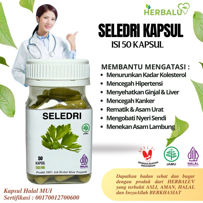 Kapsul Seledri HERBALUV Original Herbal