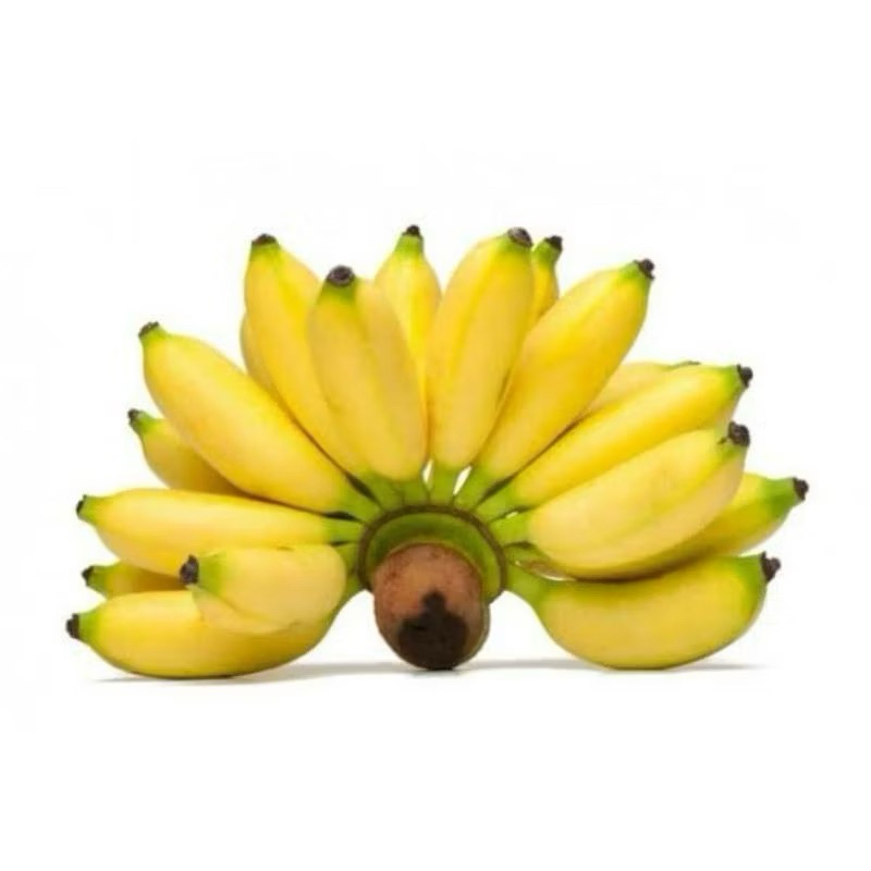 Pisang muli / mauli / moly