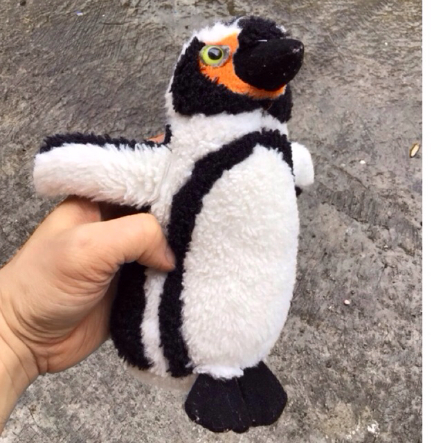 SEA WORLD BONEKA PINGUIN
