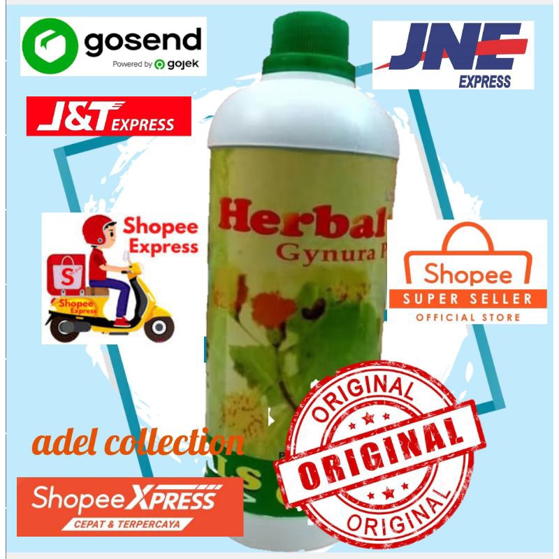 herbal gynura plus