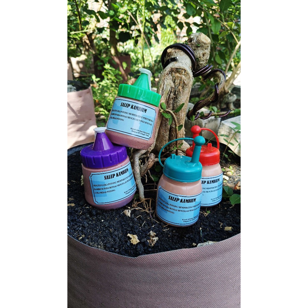SALEP KAMBIUM BOTOL 150ML & 200ML
