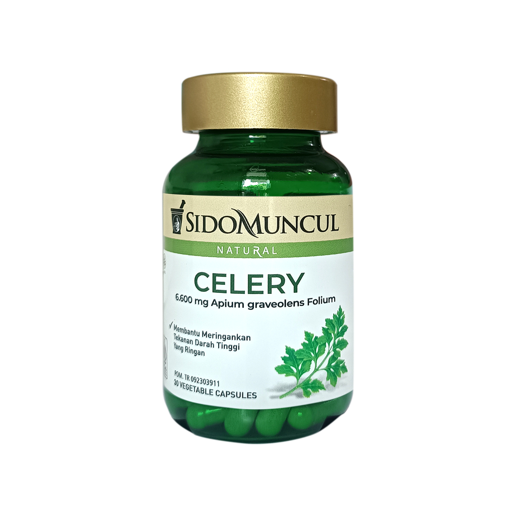 Celery SidoMuncul