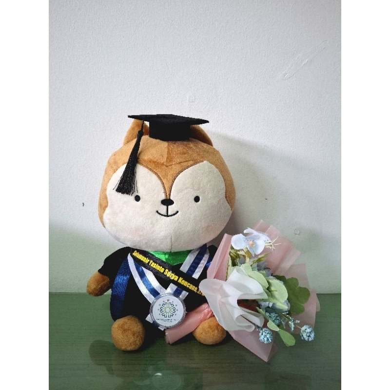 Boneka wisuda DOTS Neukkun