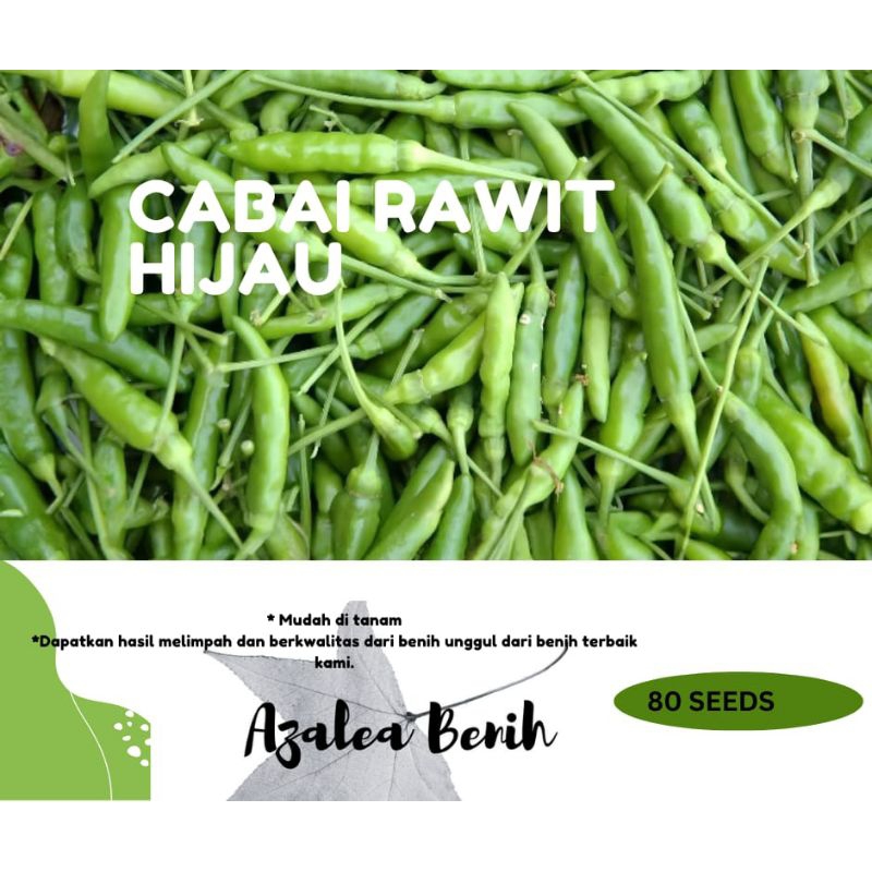 Benih Cabe Rawit Hijau