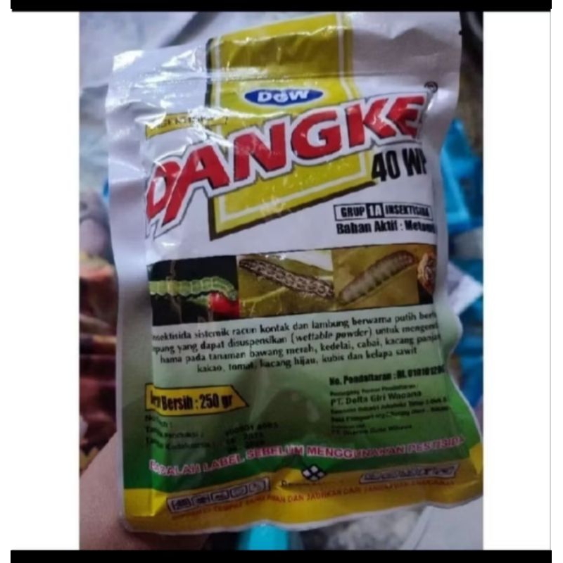 Dangke 250 40wp