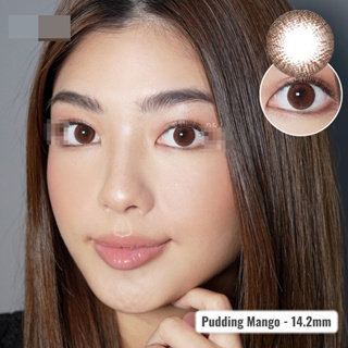 SOFTLENS PUDDING MANGO BY EOS NORMAL S.D -10.00 DIA 14.20MM