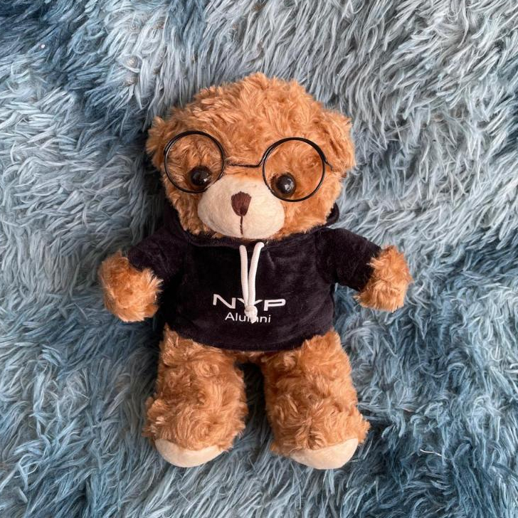 Boneka Teddy Graduation Bear NYP